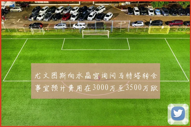 尤文图斯向水晶宫询问马特塔转会事宜预计费用在3000万至3500万欧元之间