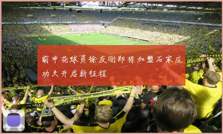 前申花球员徐友刚即将加盟石家庄功夫开启新征程